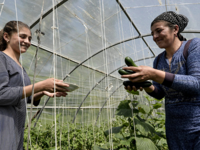 World Food Safety Day events in Kyrgyzstan promote food standards