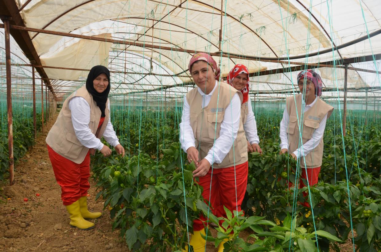 Job training: turning points for women