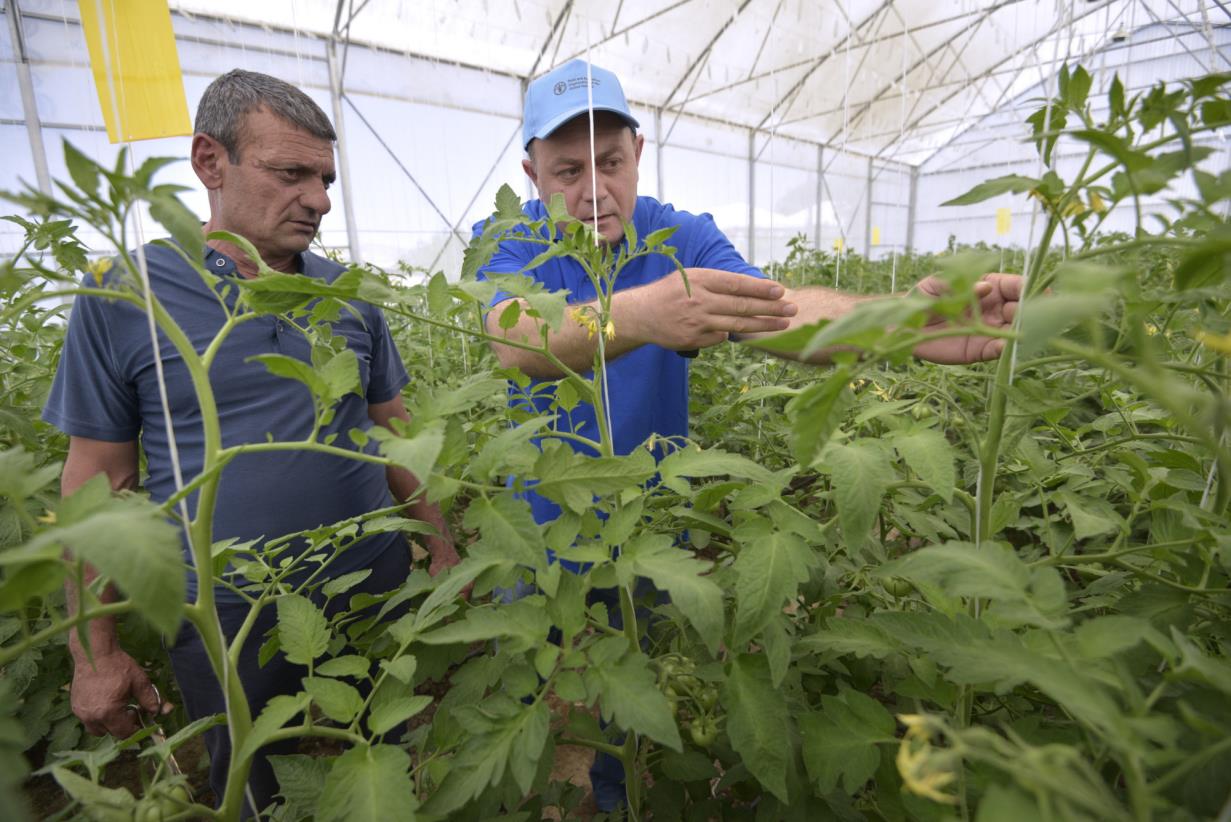 Безопасность пищевых продуктов – дело каждого