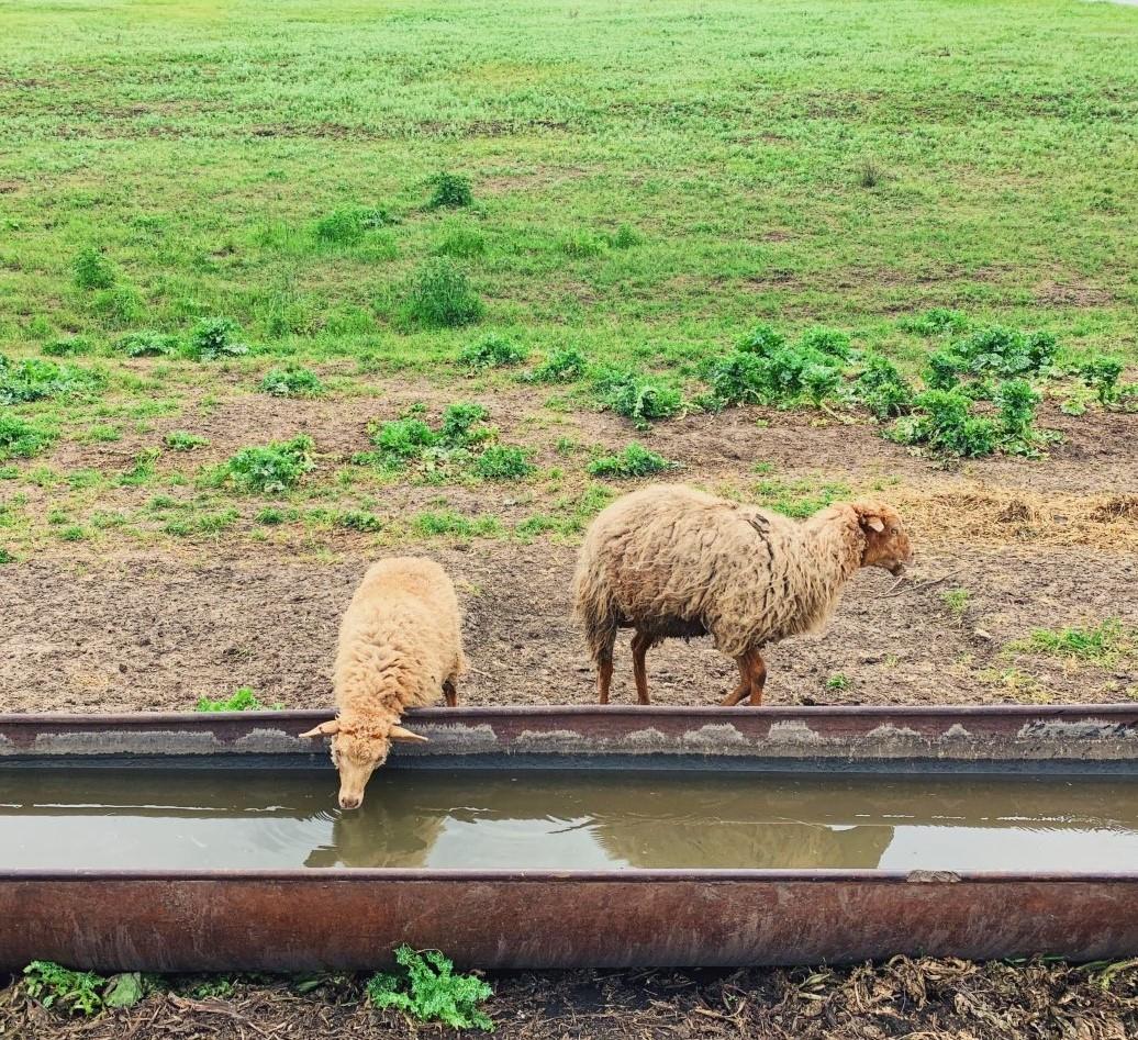 ‘Agriculture has to go on’