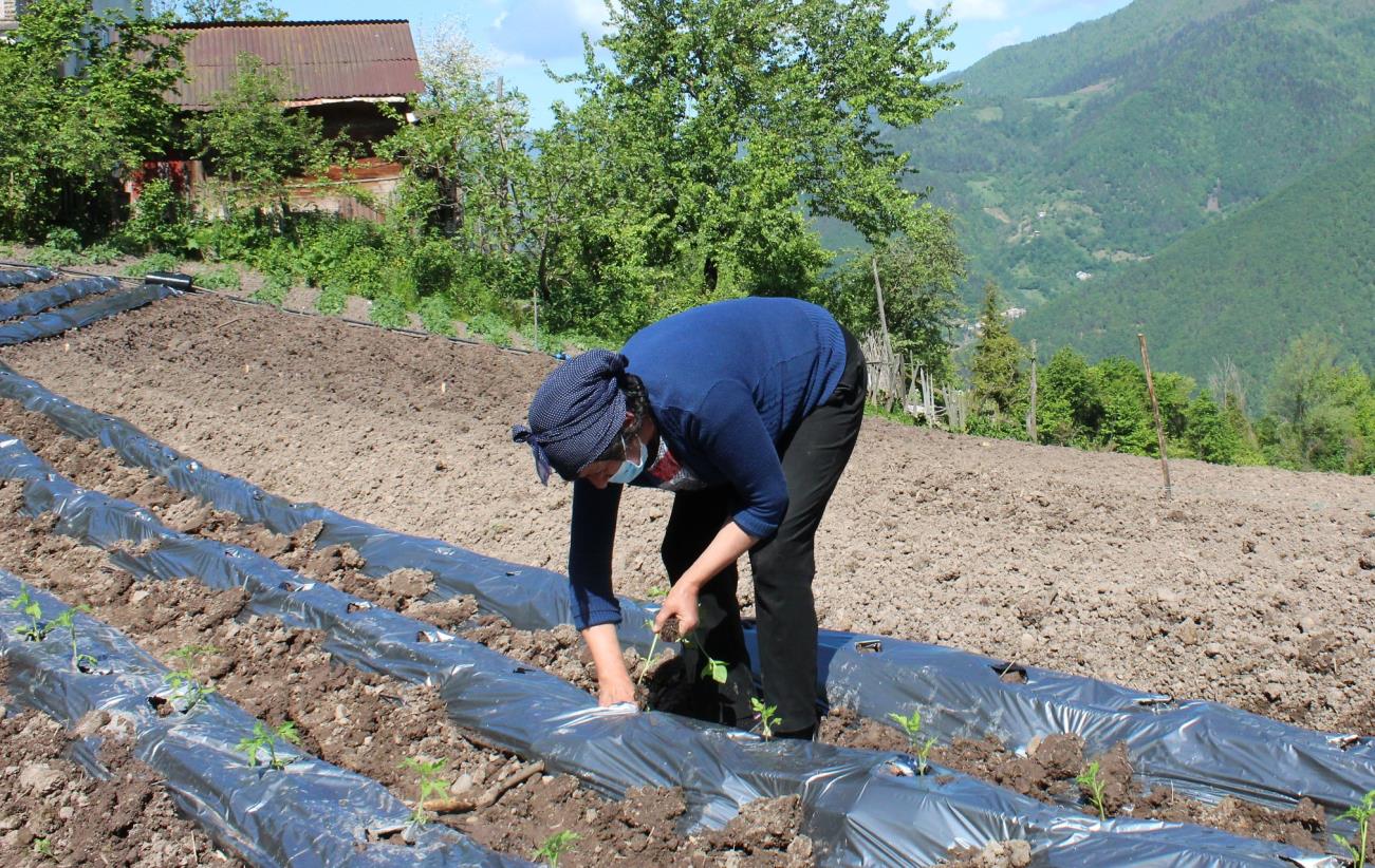 Growing productivity for Georgia’s women farmers
