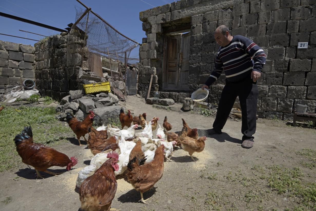 FAO promotes prudent use of antimicrobials