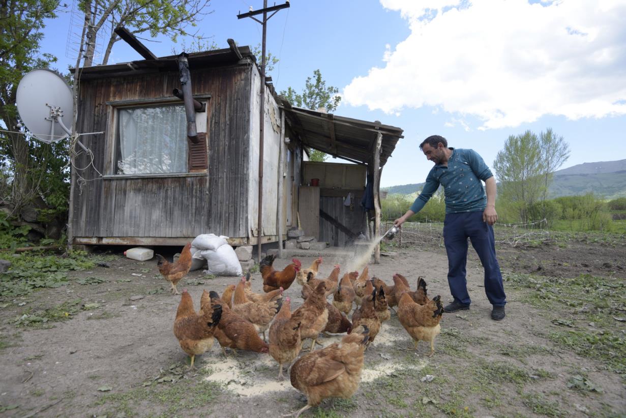 FAO urges collective action to tackle antimicrobial resistance