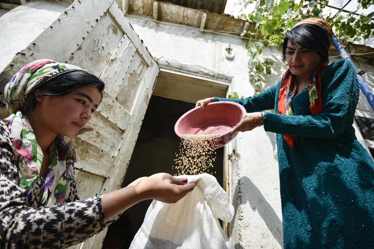 We stand with rural women for sustainable agriculture and development