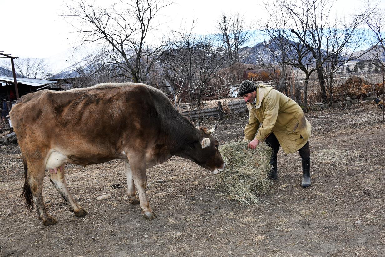 Корма для животных и птицы = продукты питания для детей и семей