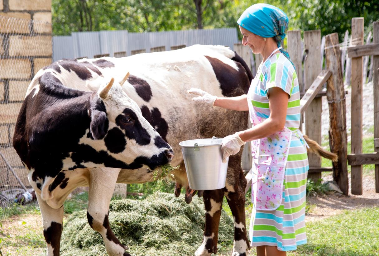 We stand with rural women for sustainable agriculture and development