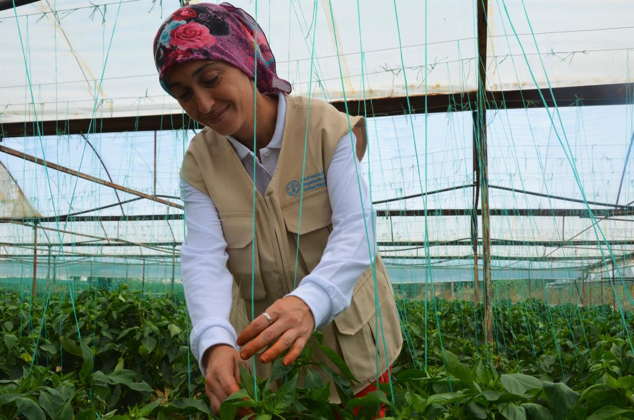 Job training: turning points for women