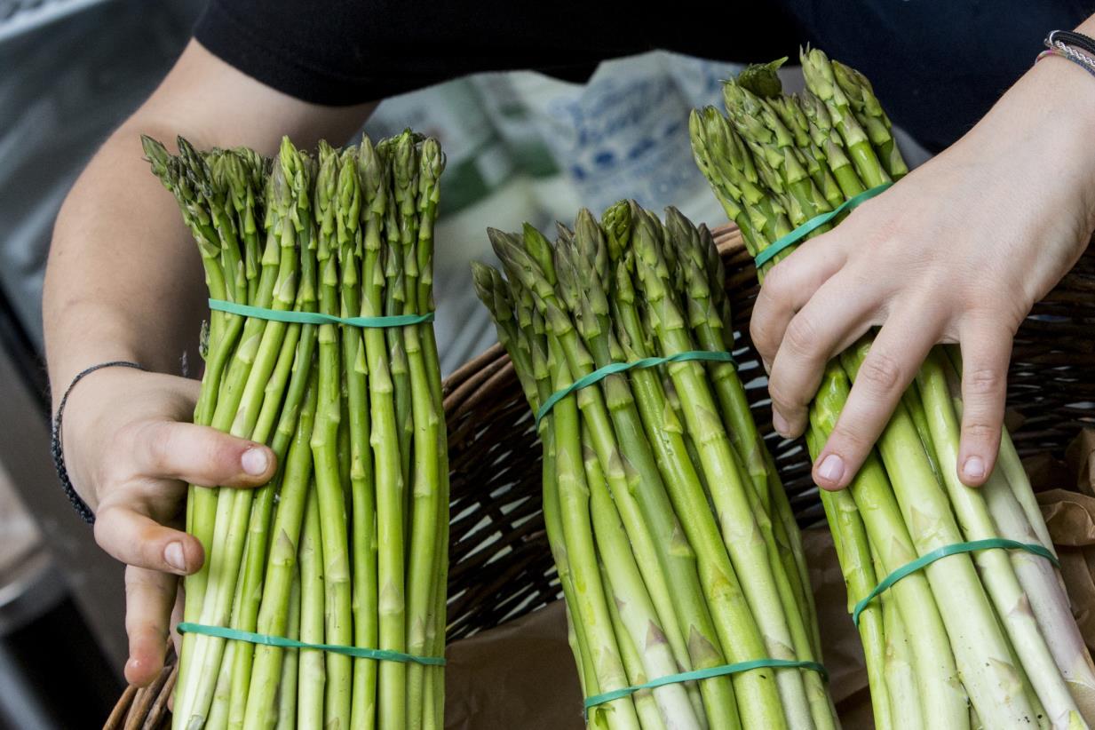 Безопасность пищевых продуктов – дело каждого