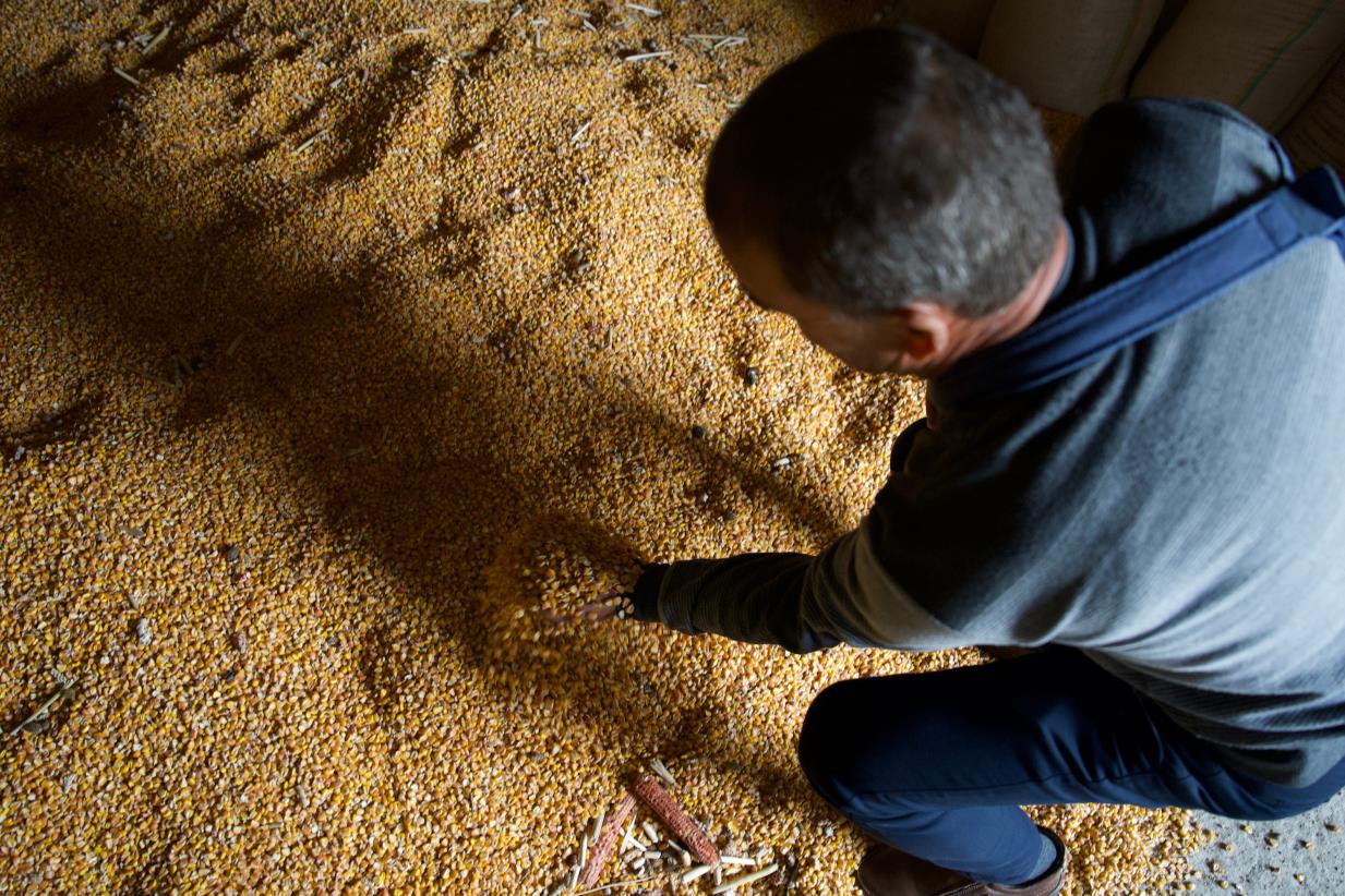Seeds and fertilizer bring relief to Moldovan farmers