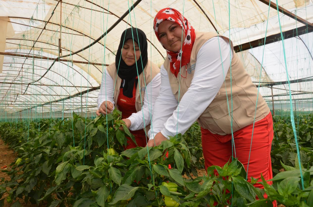 Job training: turning points for women