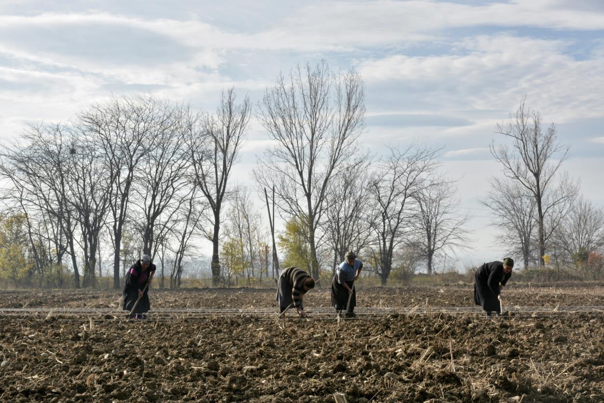 Growing productivity for Georgia’s women farmers