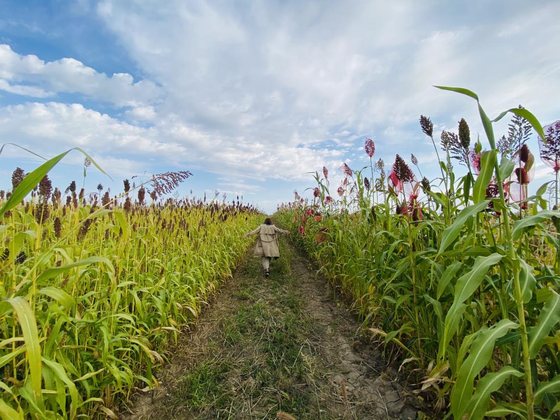 We stand with rural women for sustainable agriculture and development