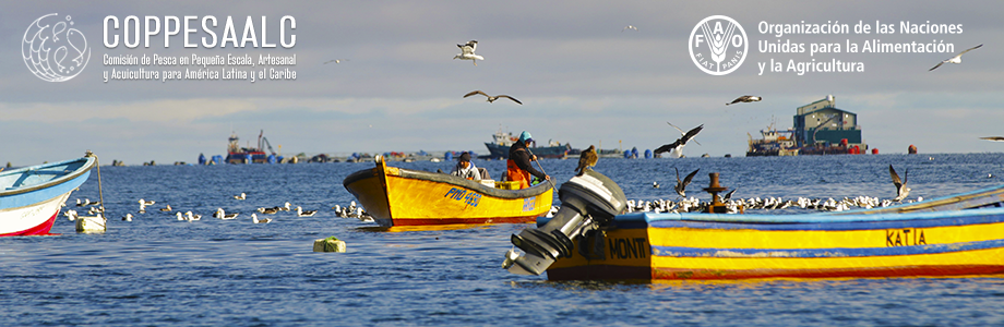 XVI Reunión de la Comisión de Pesca en Pequeña Escala, Artesanal y Acuicultura para América Latina y el Caribe (COPPESAALC)