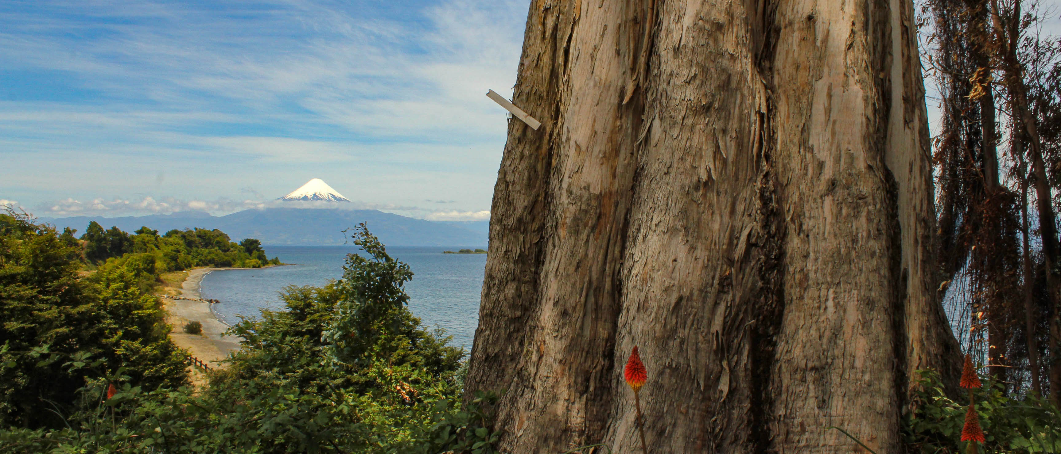 Environment: Challenges for Latin America & the Caribbean
