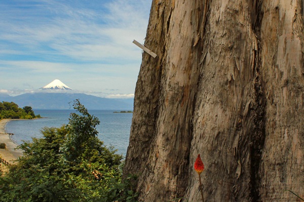 Environment: Challenges for Latin America & the Caribbean.