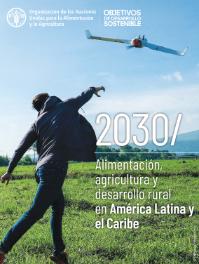 rural development 2030