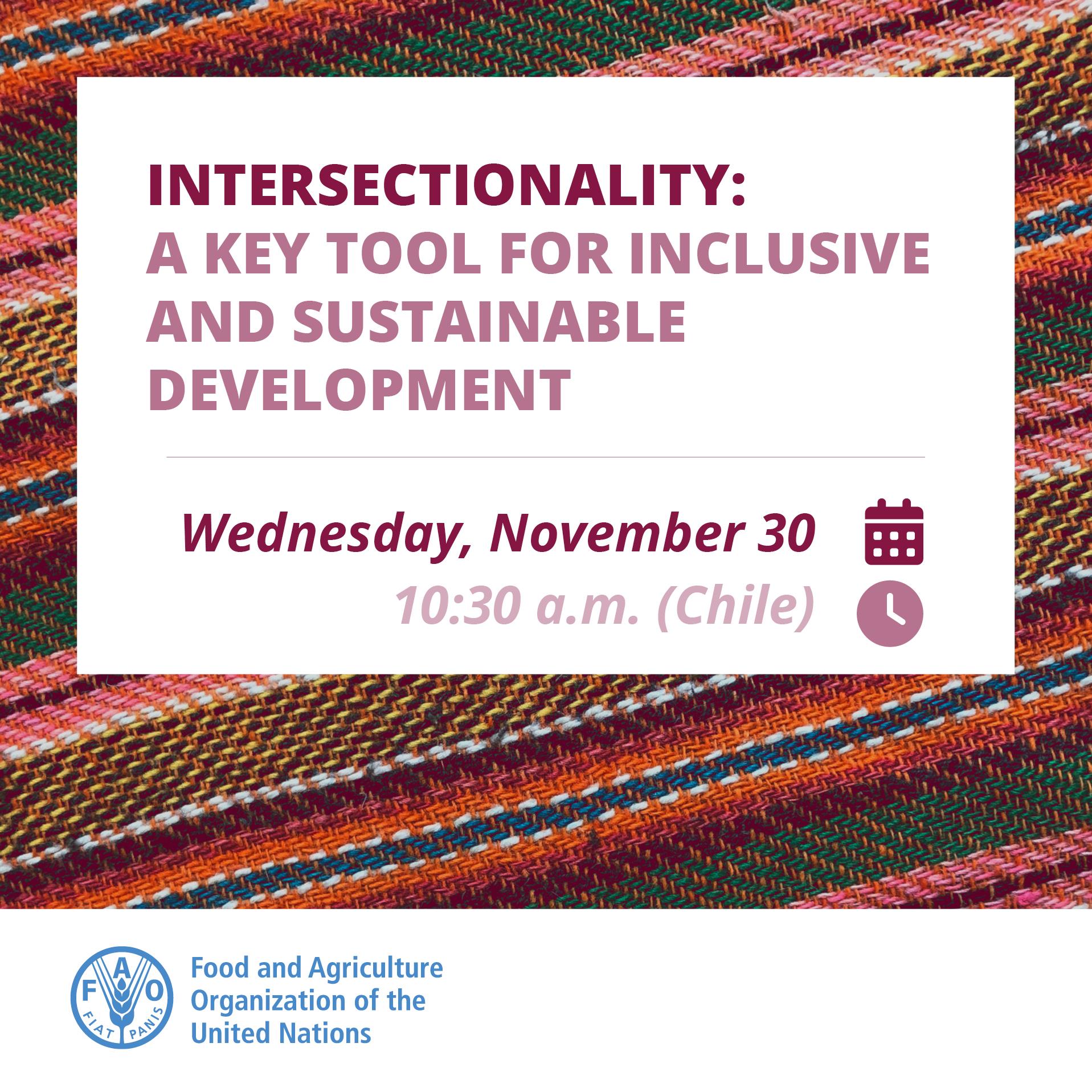 Webinar Intersectionality: A key tool for inclusive and sustainable development