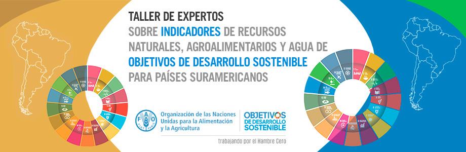 Workshop of expert on indicators of natural resources, agri-foods and water of sustainable development goals for south american countries