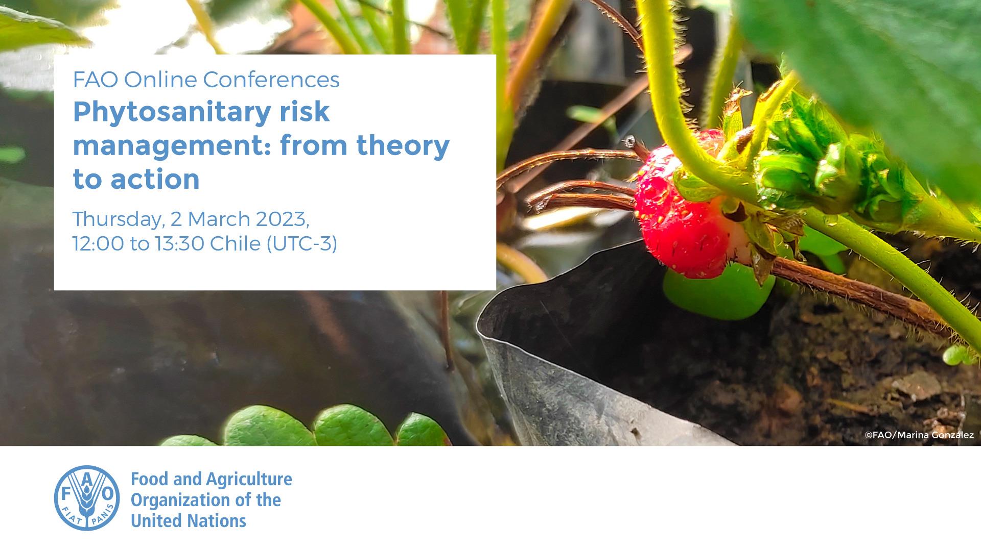 Phytosanitary risk management: from theory to action