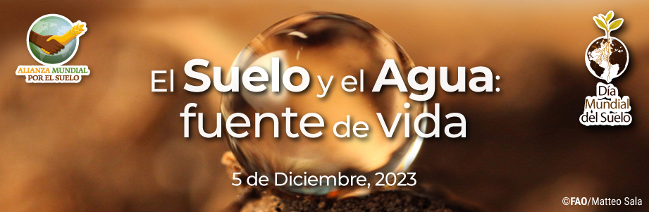 Celebración del día Mundial del Suelo