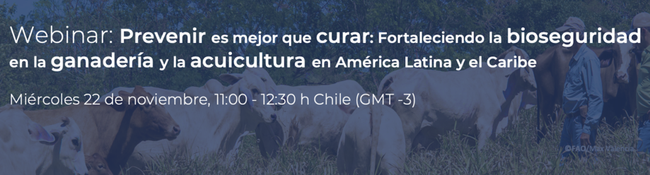 Prevenir es mejor que curar: Fortaleciendo la bioseguridad en la ganadería y la acuicultura en América Latina y el Caribe