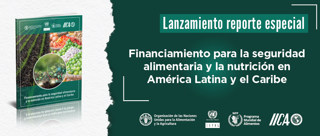 Lanzamiento informe especial
“Financiamiento para la seguridad alimentaria y la nutrición en América Latina y el Caribe”