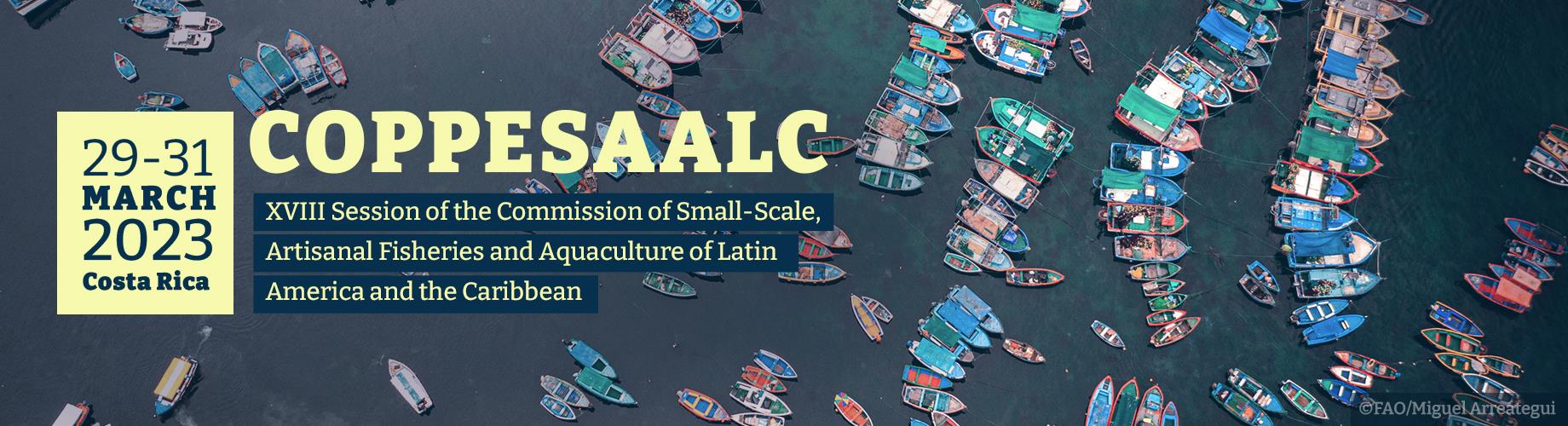 XVIII Session of the Commission of Small-Scale, Artisanal Fisheries and Aquaculture of Latin America and the Caribbean (COPPESAALC)