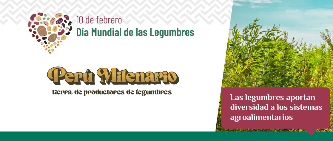 Las Legumbres aportan diversidad a los sistemas agroalimentarios