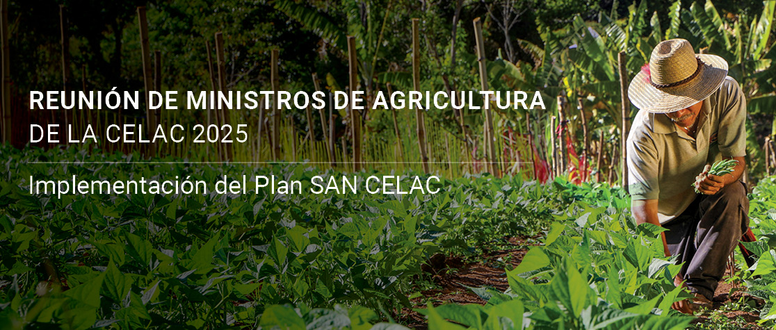 Reunión de Ministros de Agricultura de la Comunidad de Estados Latinoamericanos y Caribeños (CELAC) 2025