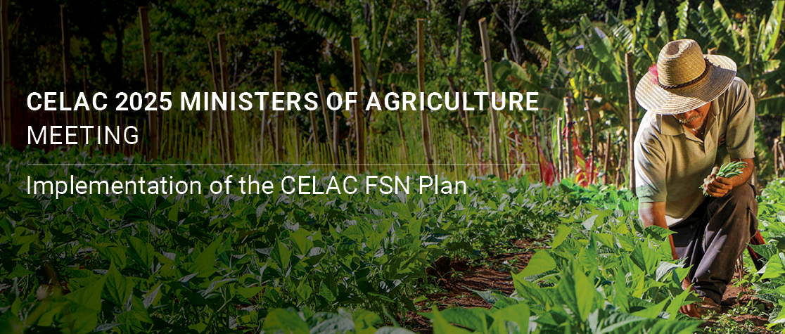 Meeting of Ministers of Agriculture of the Community of Latin American and Caribbean States (CELAC) 2025