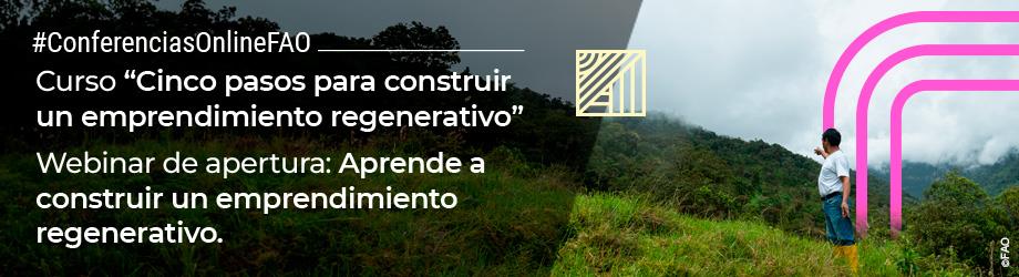 Webinar de apertura: Aprende a construir un emprendimiento regenerativo Curso “Cinco pasos para construir un emprendimiento regenerativo”