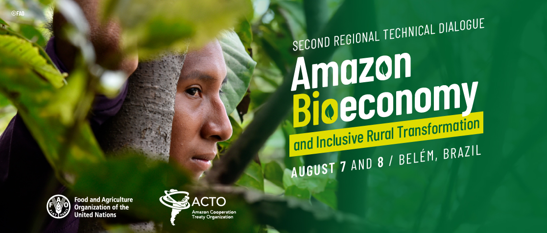 Second Regional Technical Dialogue on Amazonian Bioeconomy and Inclusive Rural Transformation