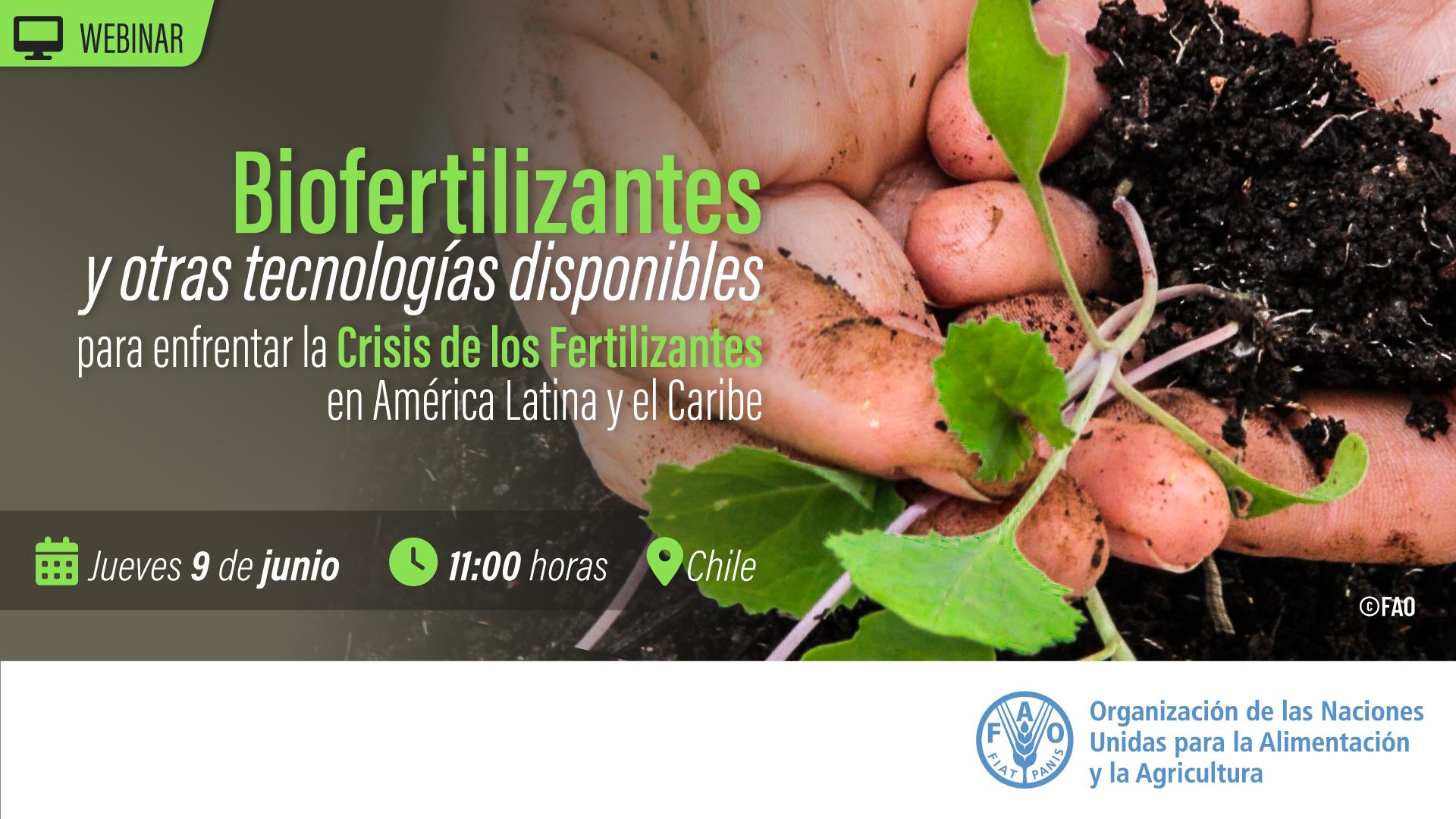 Biofertilizers and other technologies available to address the fertilizer Crisis In The Latin American And Caribbean Region