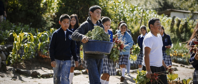 Nourishing the Future: Strong Partnerships for Food Security and Better Nutrition in Latin America and the Caribbean
