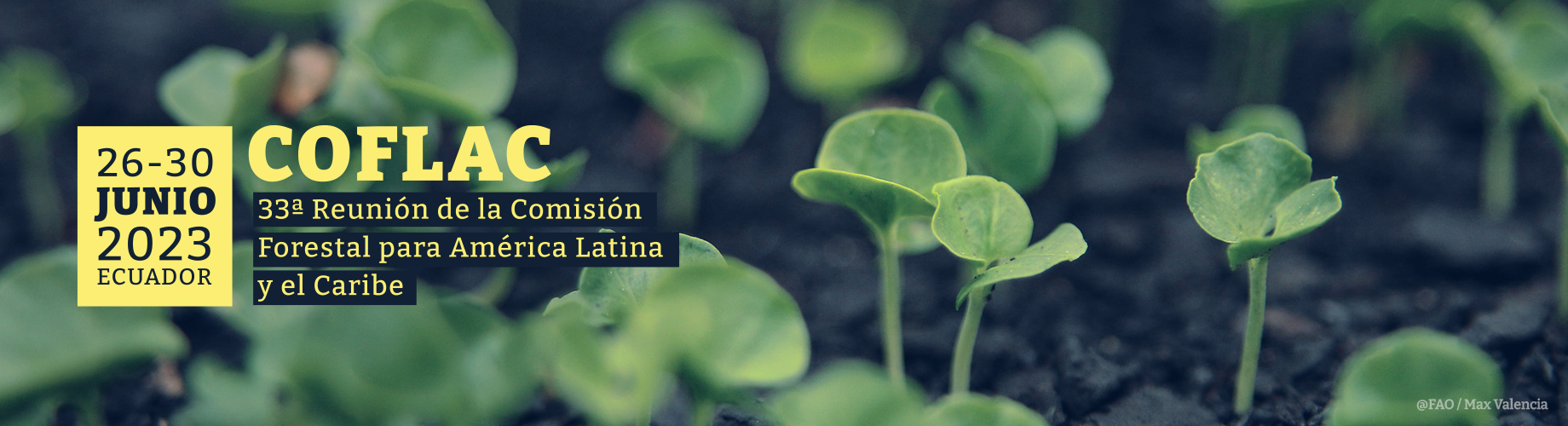 XXXIII Reunión de la Comisión Forestal para América Latina y el Caribe (COFLAC)