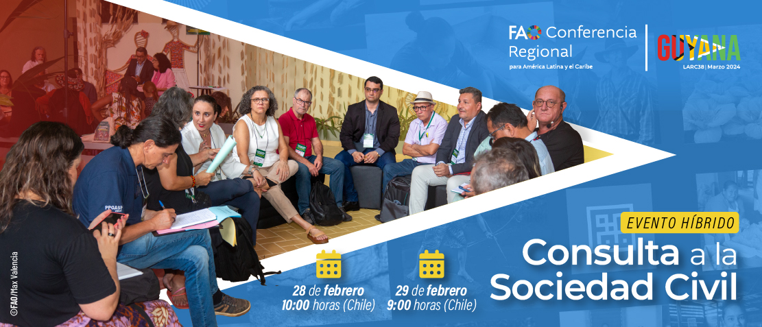 Consulta a la Sociedad Civil previa a la 38 Conferencia Regional de la FAO para América Latina y el Caribe (LARC38)