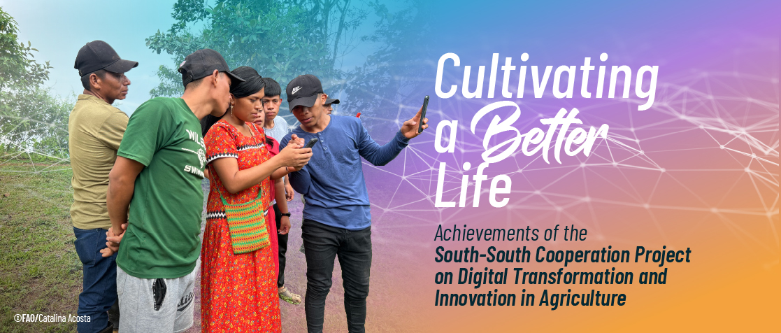 Cultivating a Better life - Achievements of the South-South Cooperation Project on Digital Transformation in Agriculture
