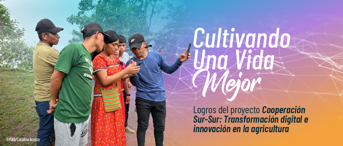 Cultivando Una vida mejor - Logros del proyecto Cooperación Sur-Sur: Transformación digital e innovación en la agricultura