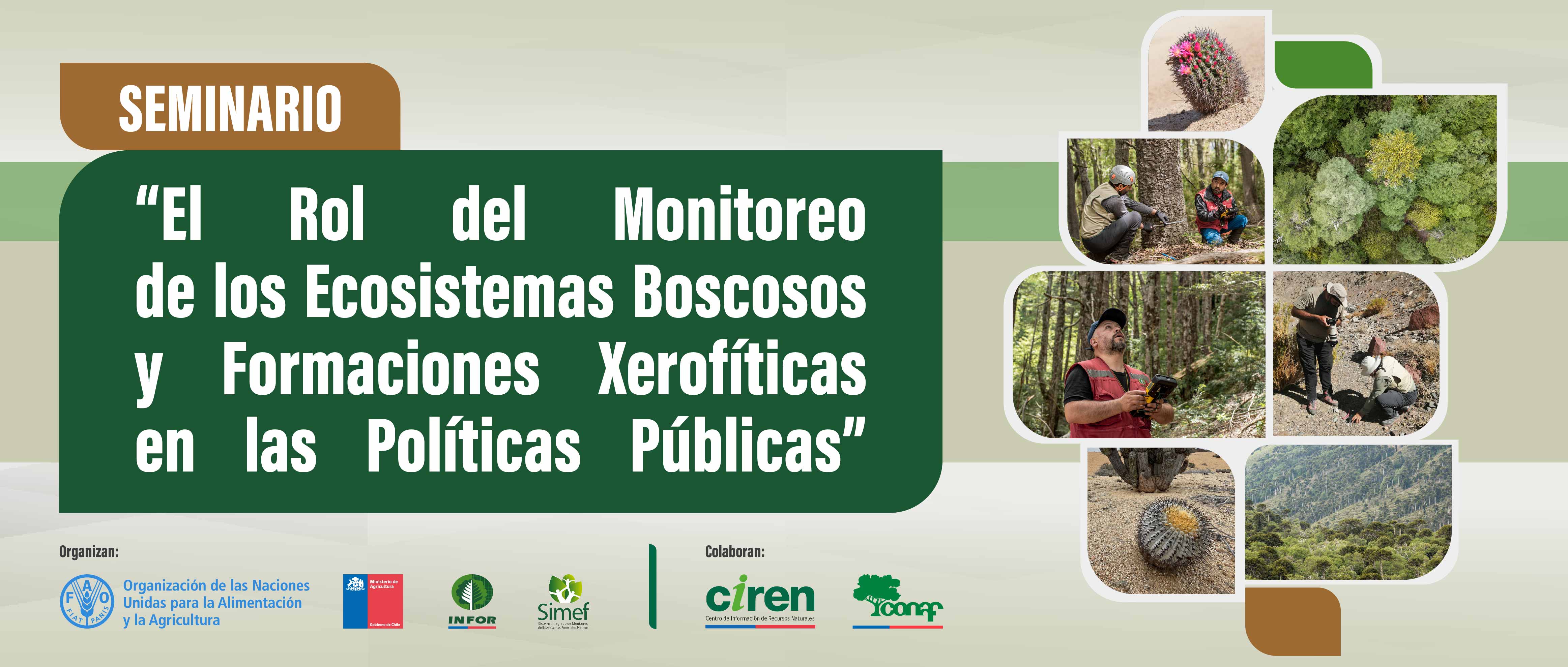 El rol del monitoreo de los ecosistemas boscosos y formaciones xerofíticas en las políticas públicas