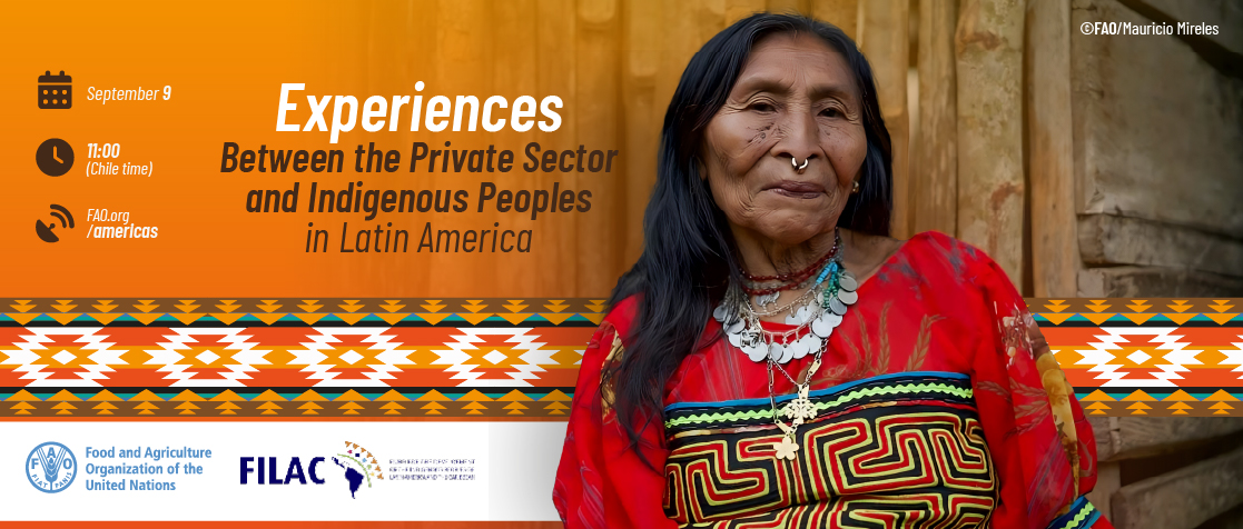 Presentation of the study:
“Indigenous Peoples and the Private Sector: case studies in Latin America”