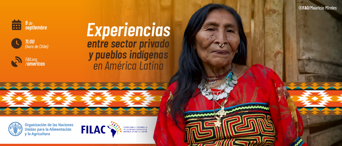 Presentación Estudio
“Experiencias entre sector privado y pueblos indígenas en América Latina”
