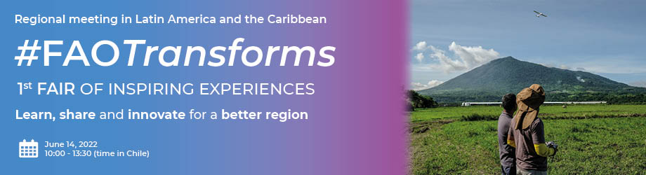 #FAOTransforms 1st fair of inspiring experiences