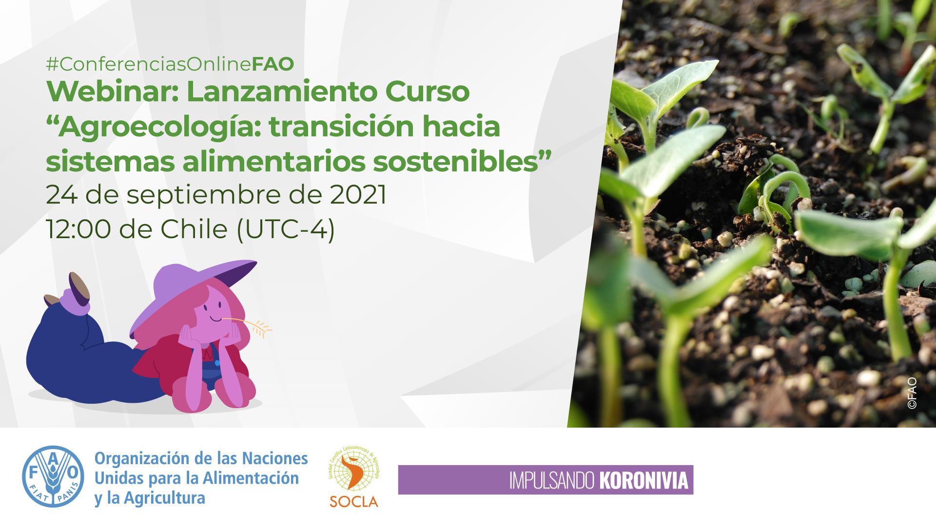 The course Agroecology: transition towards sustainable food systems