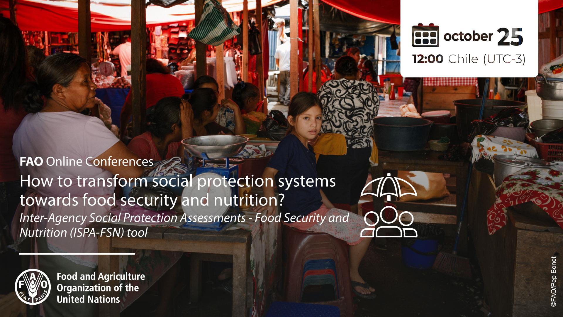 How to transform social protection systems towards food security and nutrition?