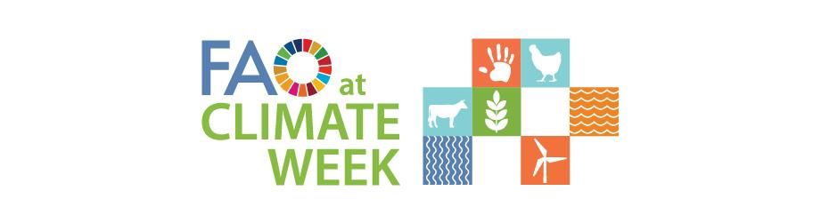 FAO at Climate Week