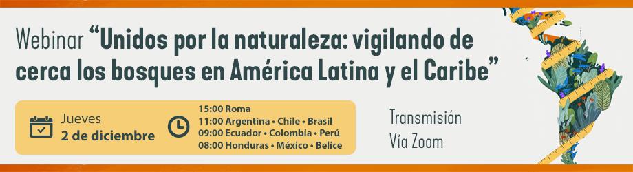 United for Nature: keeping a close eye on forests in Latin America and the Caribbean