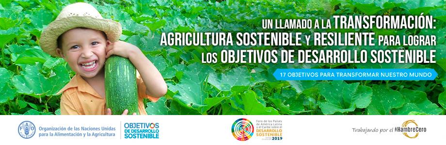 Un llamado a la Transformación: Agricultura Sostenible y resiliente para lograr los Objetivos de Desarrollo Sostenible
