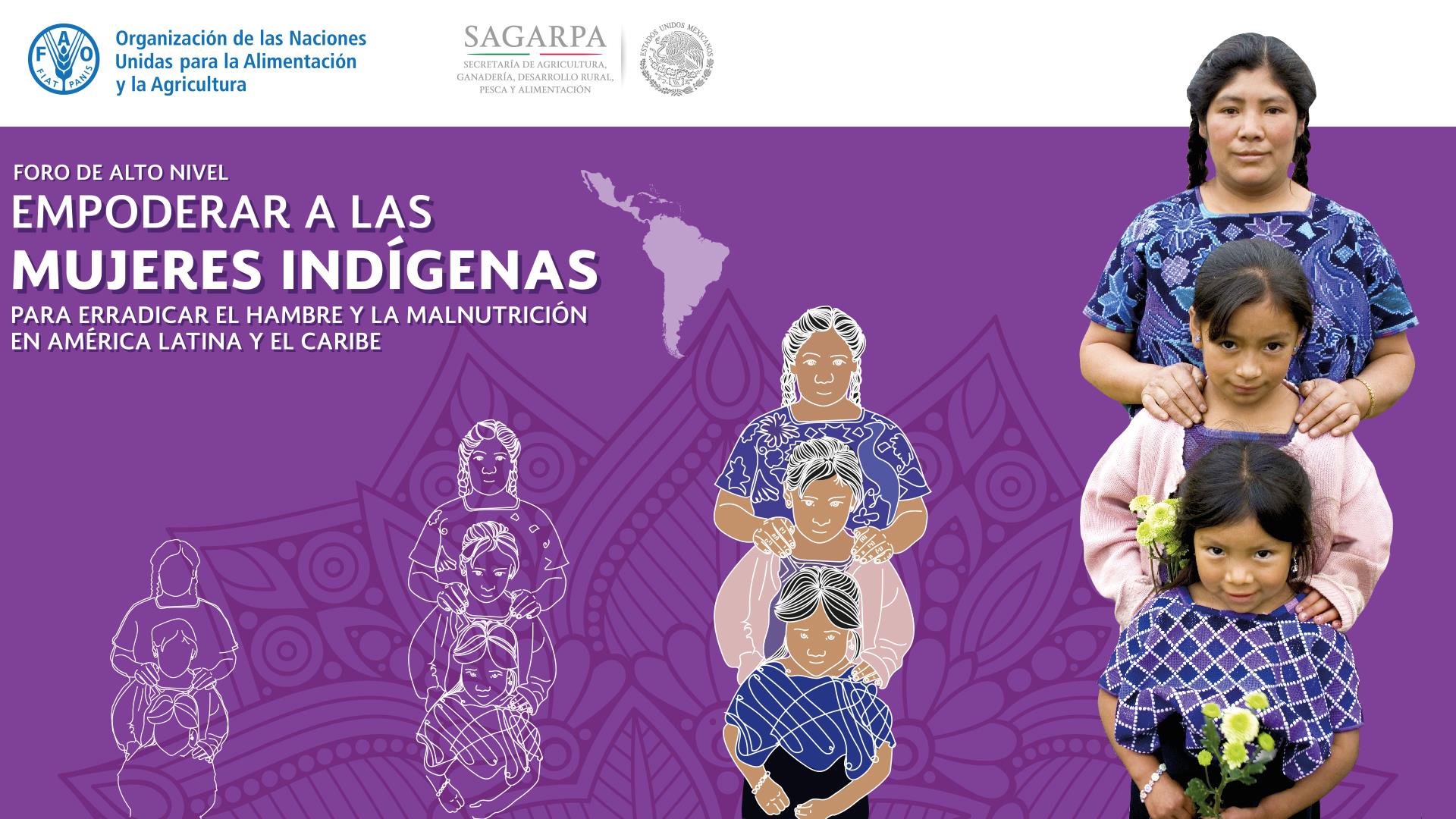 High Level Forum “Empowerment of Indigenous Women for the eradication of hunger and malnutrition in Latin America and the Caribbean”