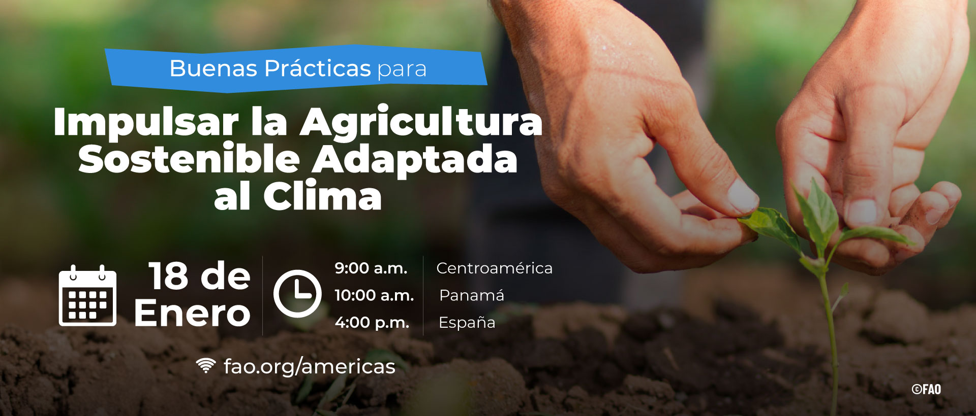Buenas prácticas para impulsar la agricultura sostenible adaptada al clima