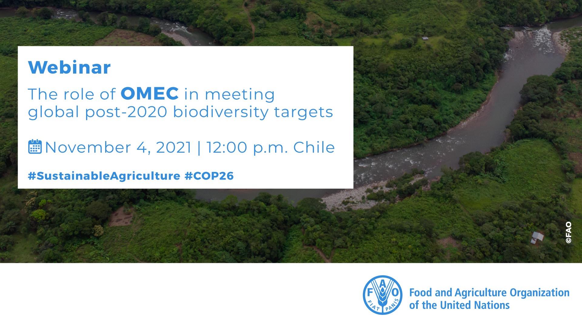 The role of OMEC in meeting global post-2020 biodiversity targets